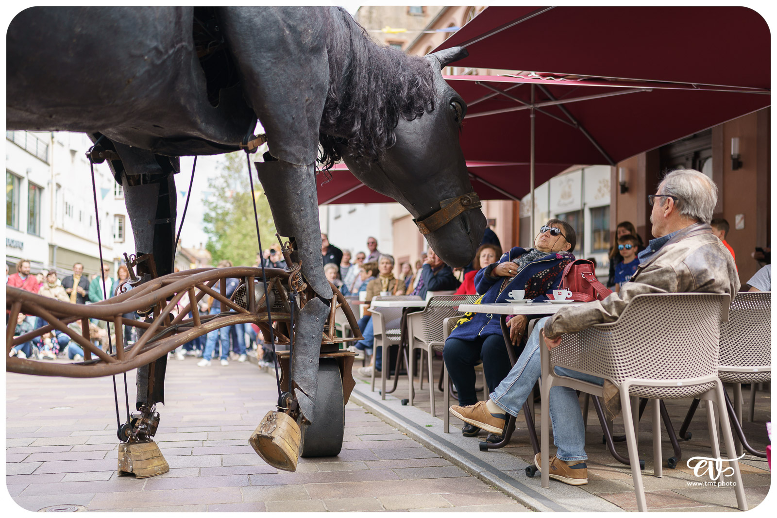CHEVÂL (CIE PARIS BÉNARÈS)